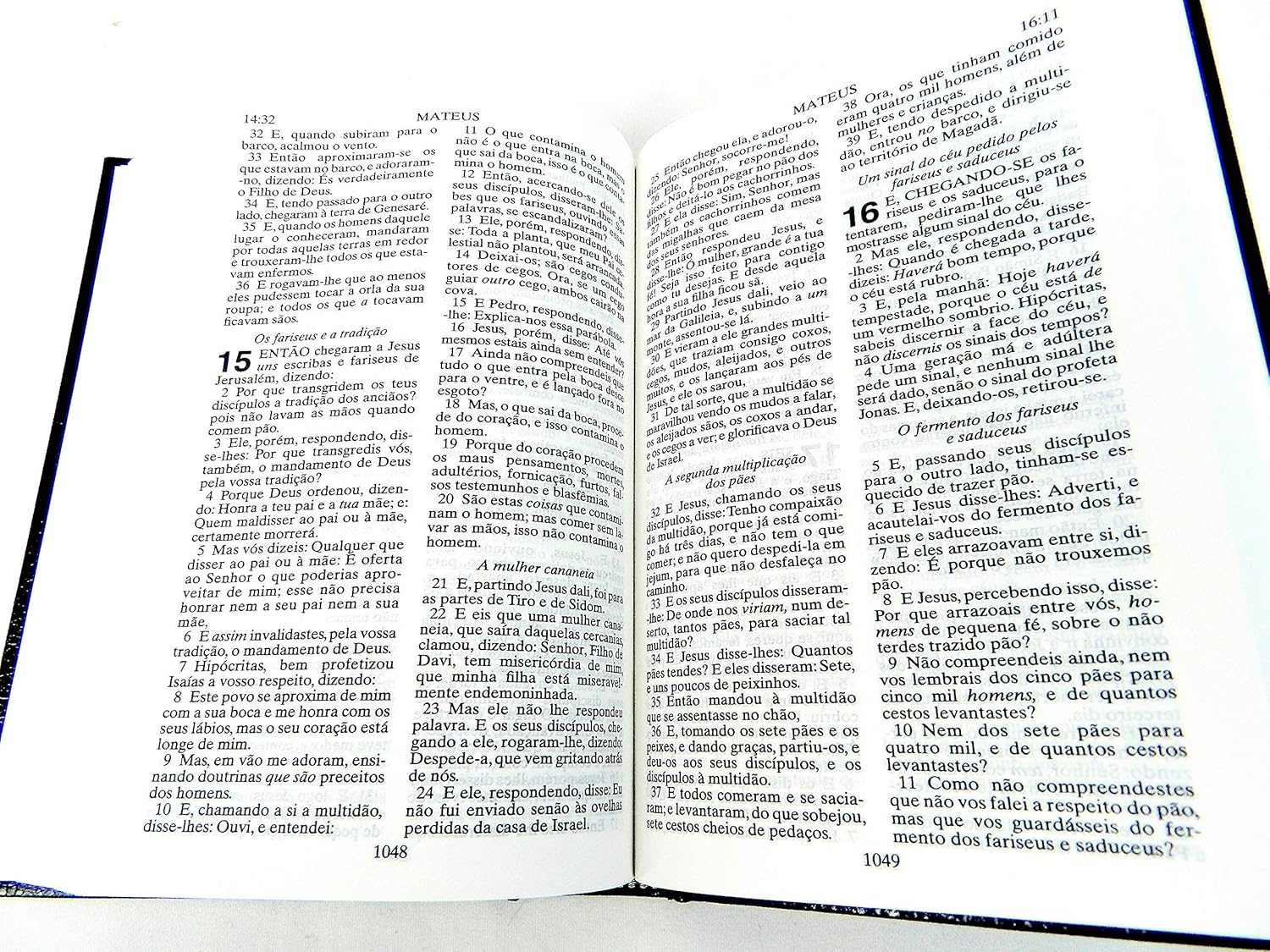 Portuguese Bible