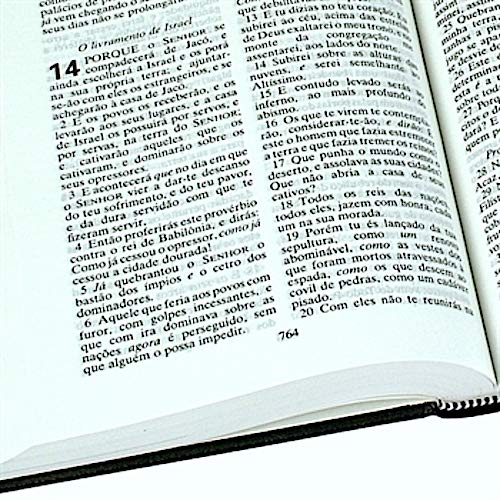 Portuguese Bible