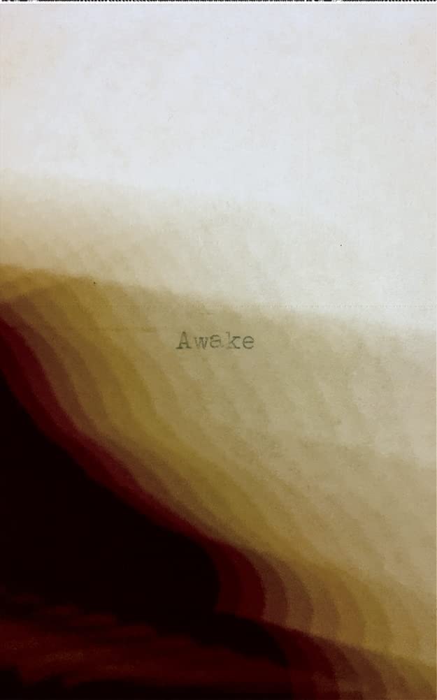 Awake: Finding purpose in this woke world
