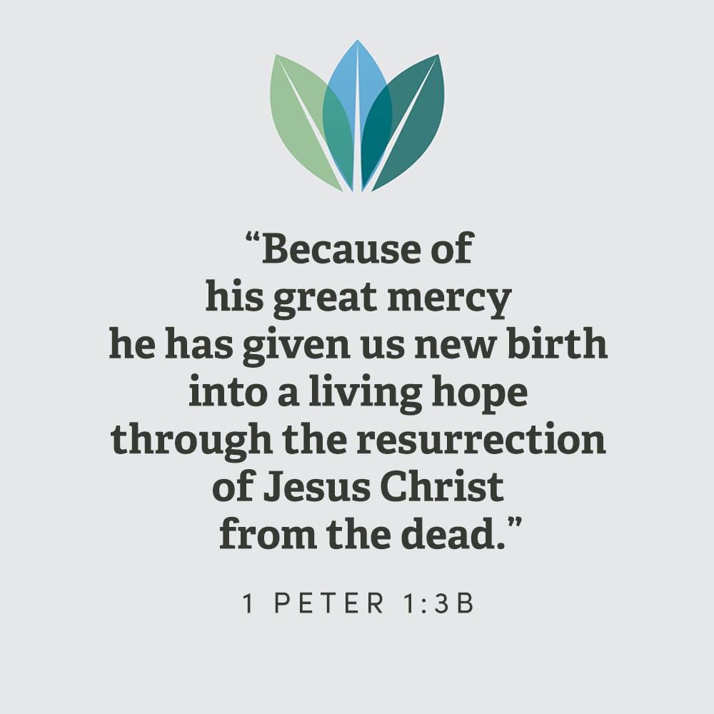 1 Peter Bible Study Book with Video Access