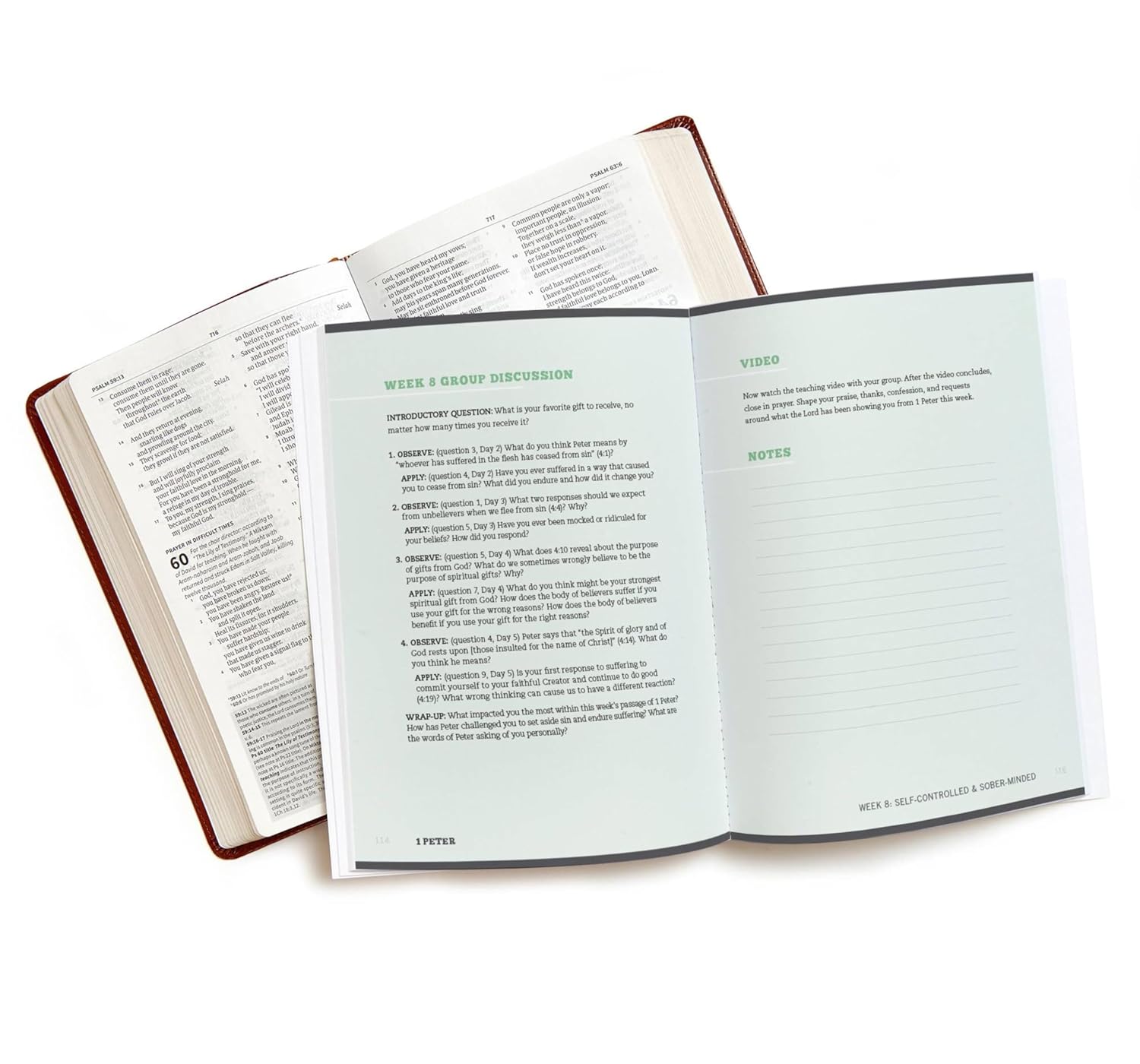 1 Peter Bible Study Book with Video Access