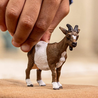 schleich 14887 Goat , from 3 years FARM WORLD - Figurine, 8 x 8 x 7 cm
