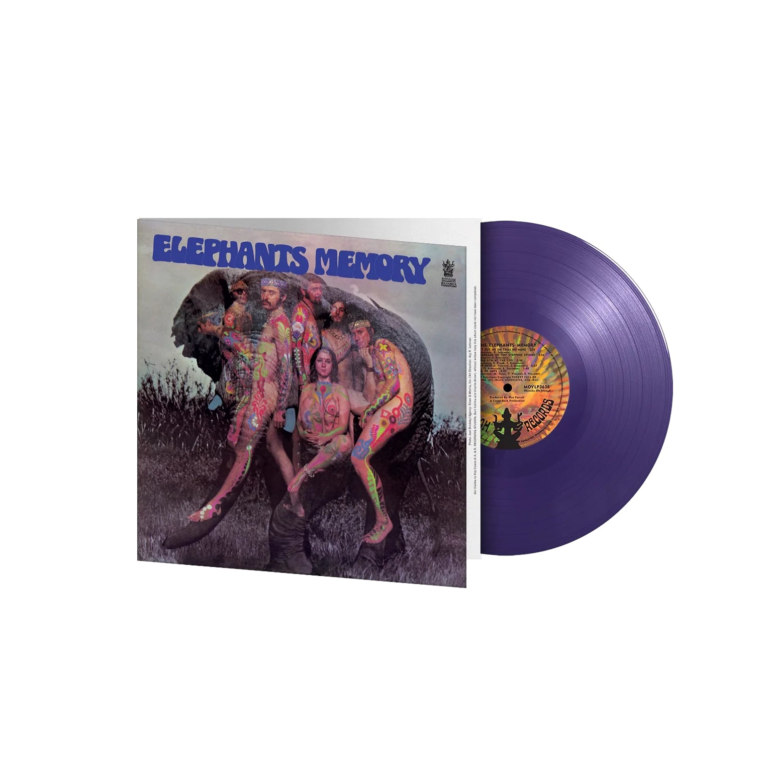 Elephant's Memory