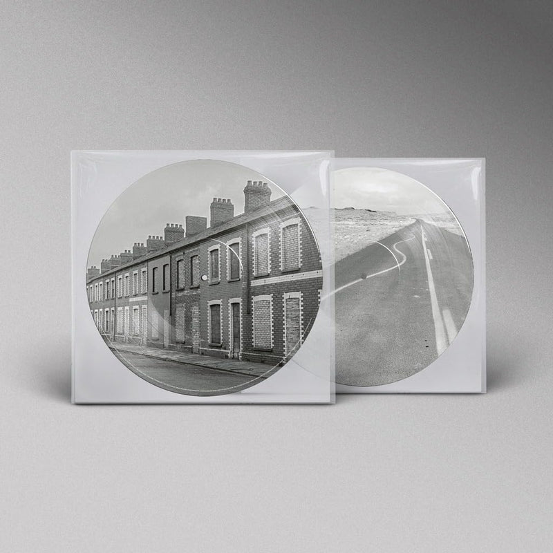 Critical Thinking (Amazon exclusive Picture Disc vinyl