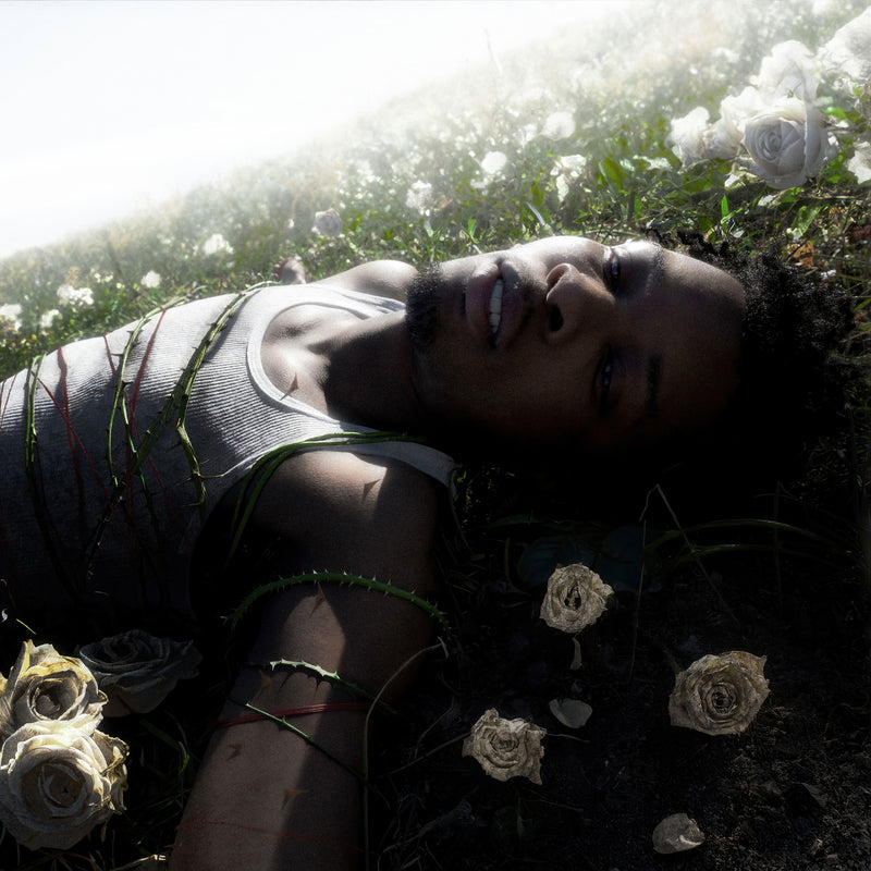 WITHERED