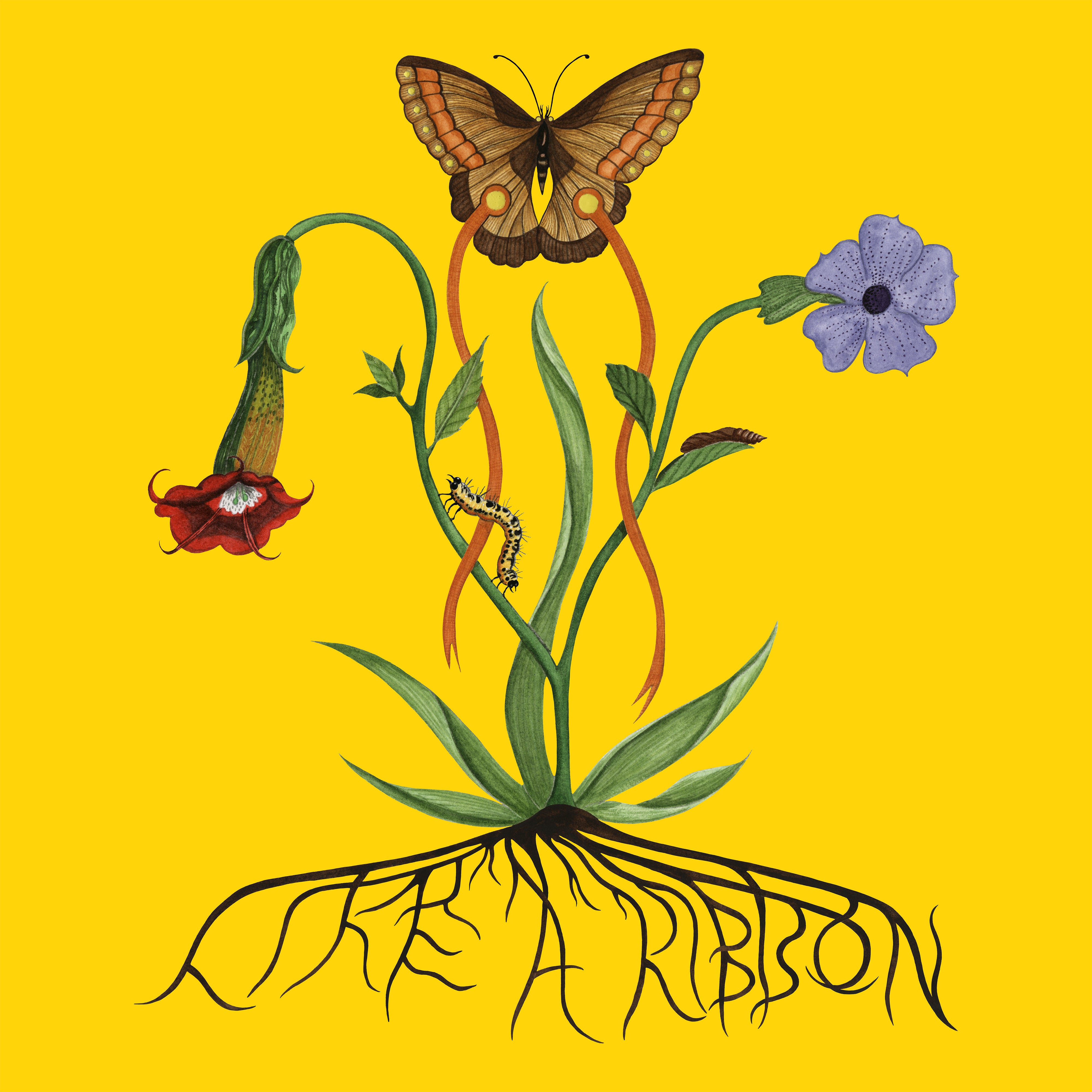 Like a Ribbon