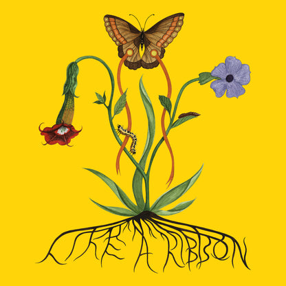 Like a Ribbon