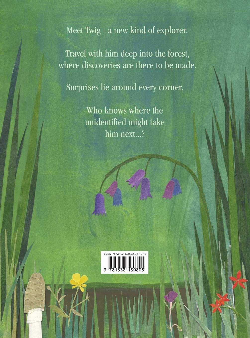 Twig and the UFO