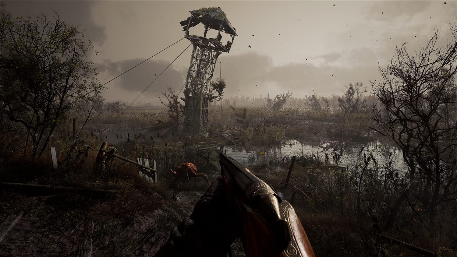 S.T.A.L.K.E.R. 2: Heart Of Chornobyl Limited Edition (Pc)