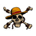 One Piece Medallion Jolly Roger Limited Edition