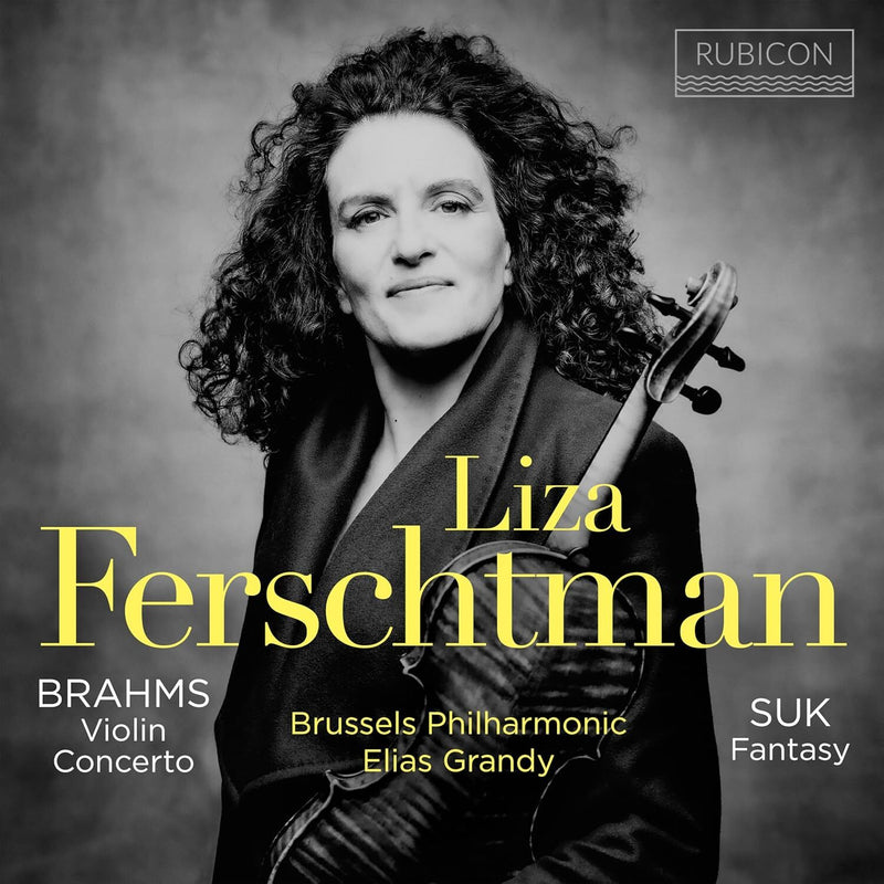 Brahms: Violin Concerto/Suk: Fantasy