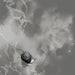 Deep Below (Grey)