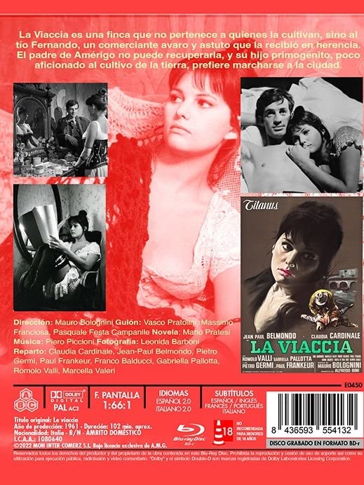 The Lovemakers ( La viaccia ) (Blu-Ray