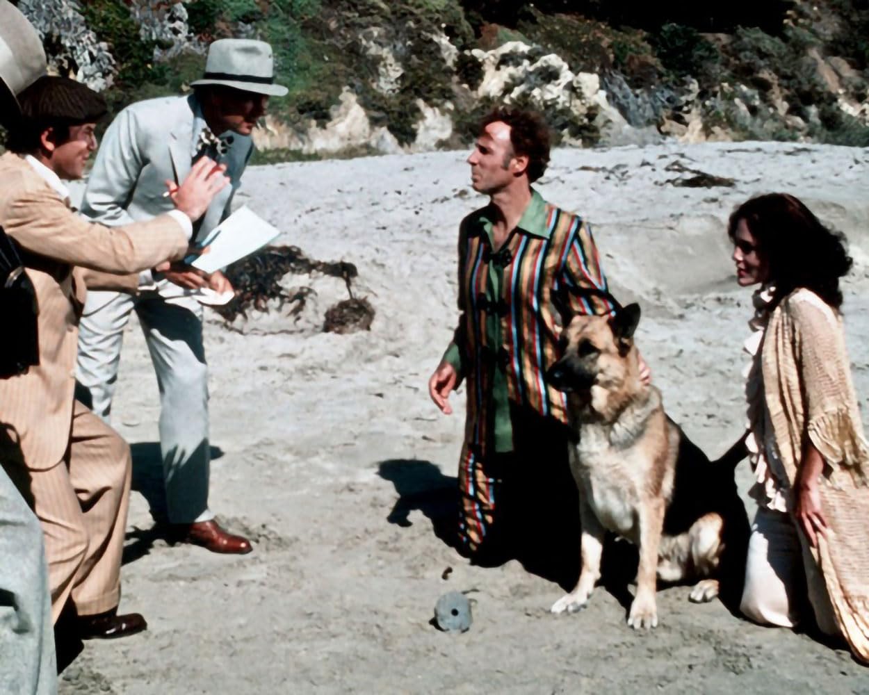 Won Ton Ton – der Hund, der Hollywood rettete / Tierische Komödie mit zahlreichen Hollywood-Stars (u.a. letzter Filmauftritt von Johnny Weissmüller) (Pidax Film-Klassiker