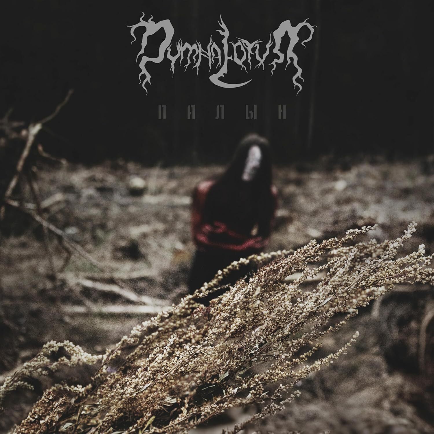Wormwood