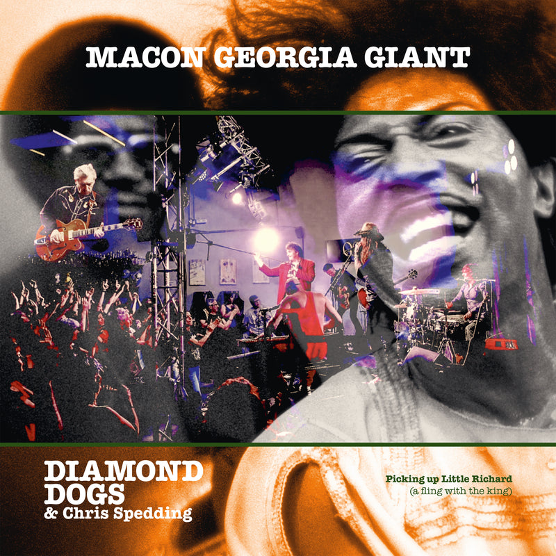 Macon Georgia Giants
