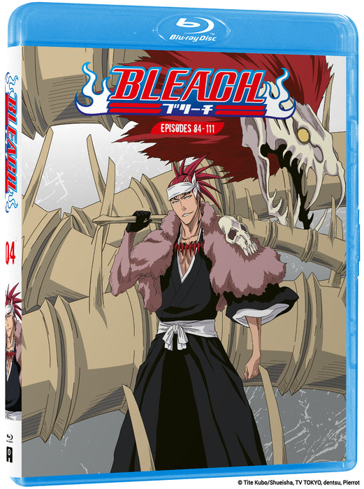 Bleach: Part 4