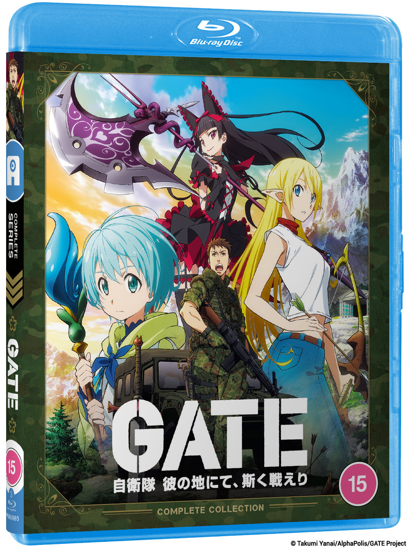 Gate
