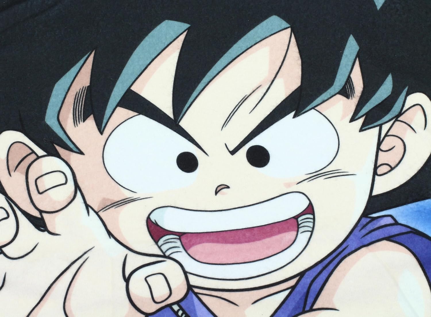 Dragon Ball Fleecedecke Shenron and Heroes 100 x 1