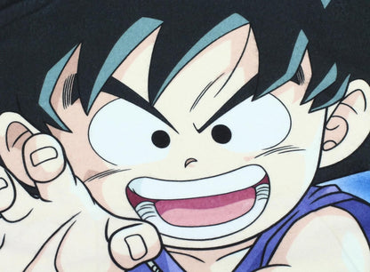 Dragon Ball Fleecedecke Shenron and Heroes 100 x 1