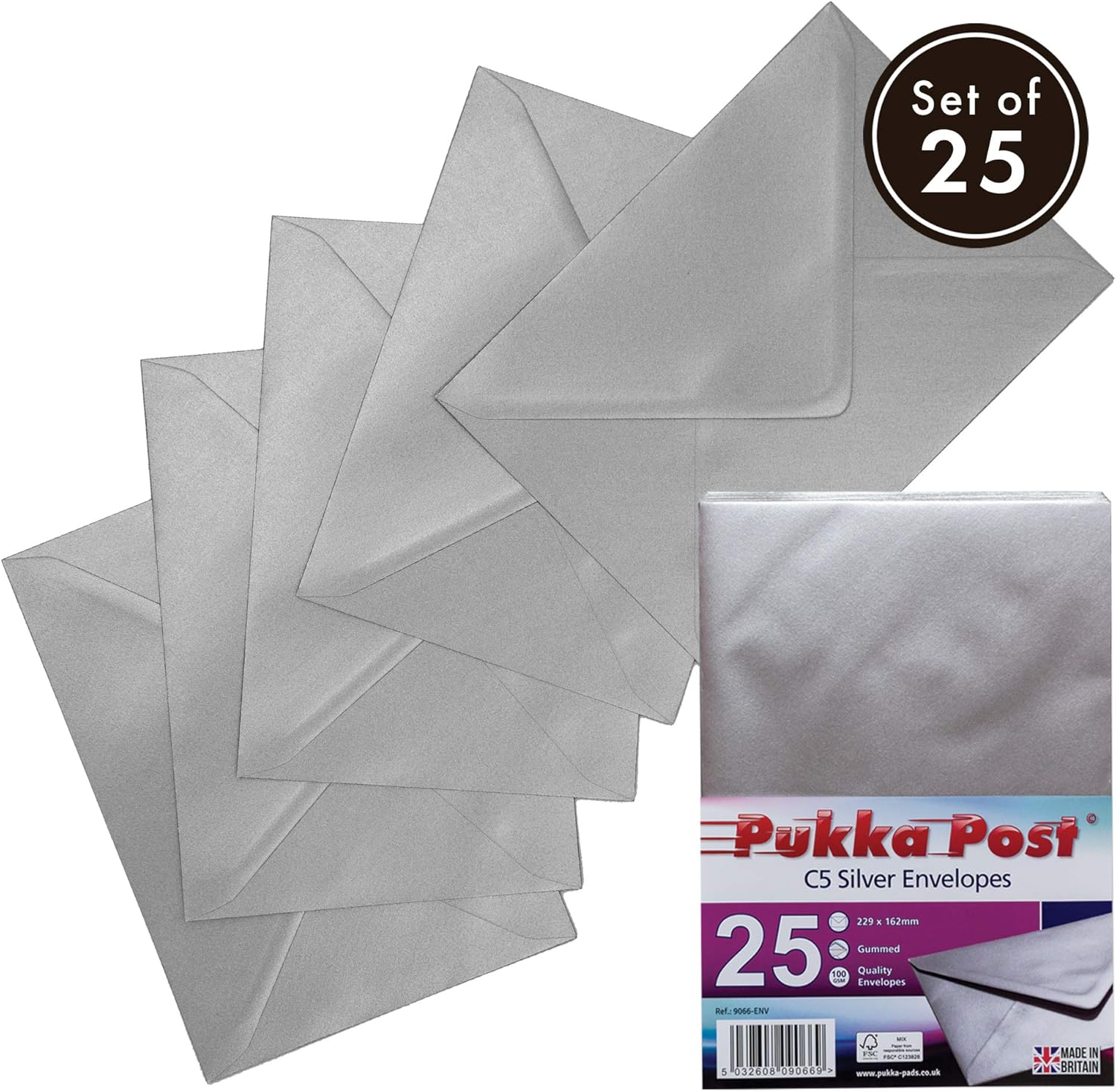Pukka Pad, Pukka Post & Packaging Gummed Envelopes - Pack of 25, Ready-to-Seal, Durable 100GSM Postal Envelopes for Letters, Invitations, and Other Mail - 229 x 162 mm, Size C5, Silver