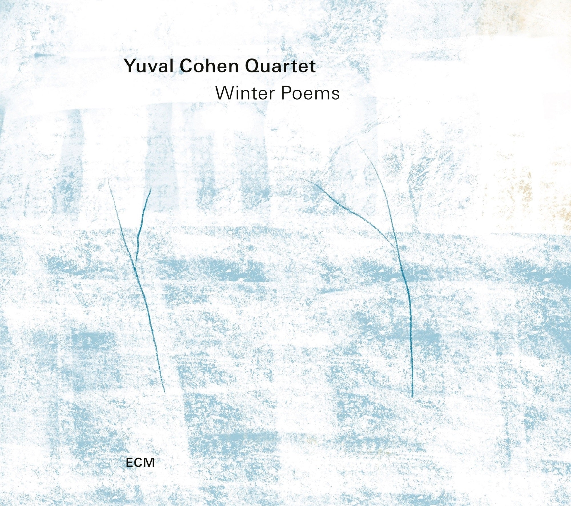 Winter Poems