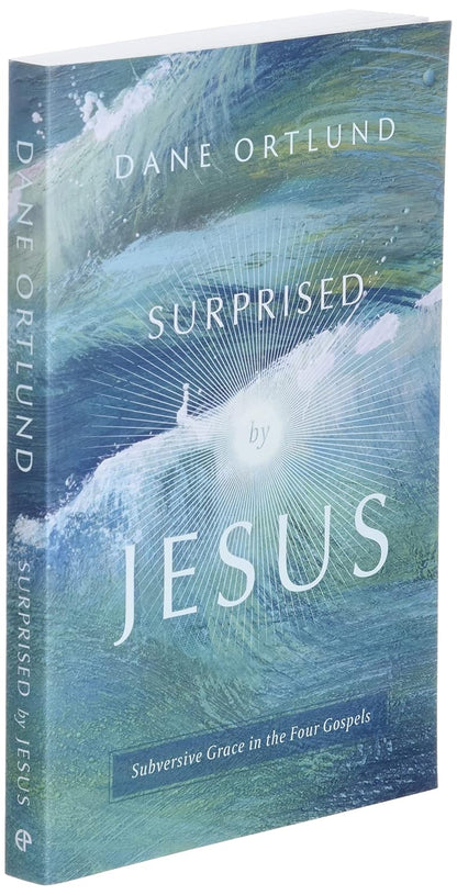 Surprised by Jesus