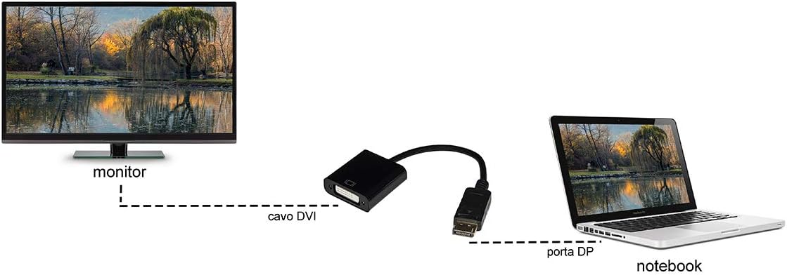 Adattatore Displayport-Dvi M/F
