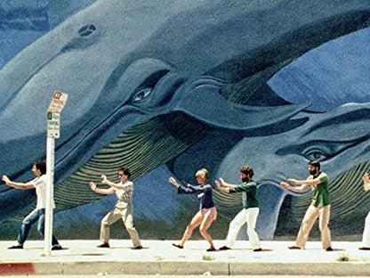 Agnès varda - coffret 7 films