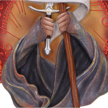 Nemesis Now Lord of the Rings You Shall Not Pass Wall Plaque 30.4cm, Resin, Officially Licensed Lord of the Rings, Gandalf Wall-Mounted Ornament, Cast in the Finest Resin, Expertly Hand-Painted