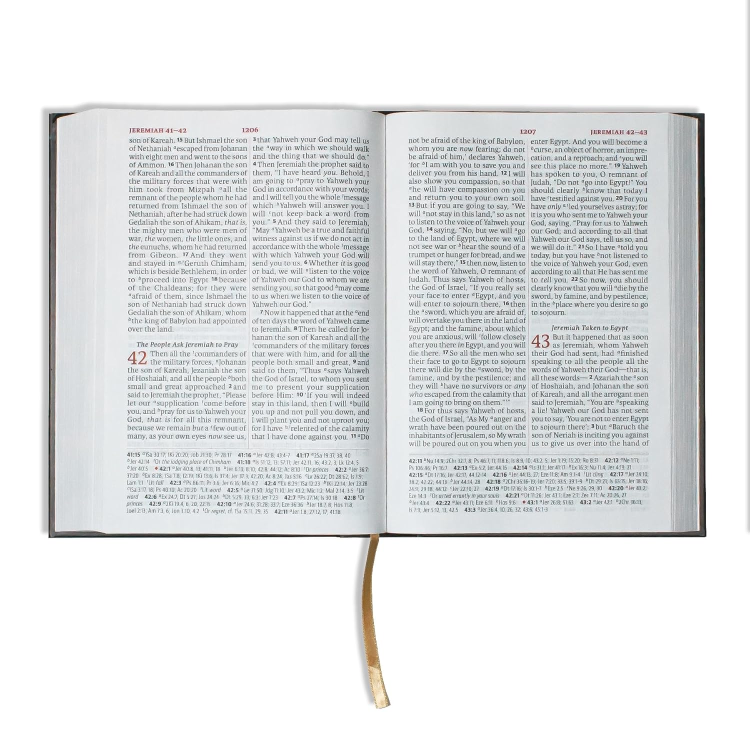 Lsb Giant Print Reference Edition, Hardcover
