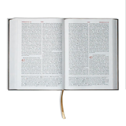 Lsb Giant Print Reference Edition, Hardcover