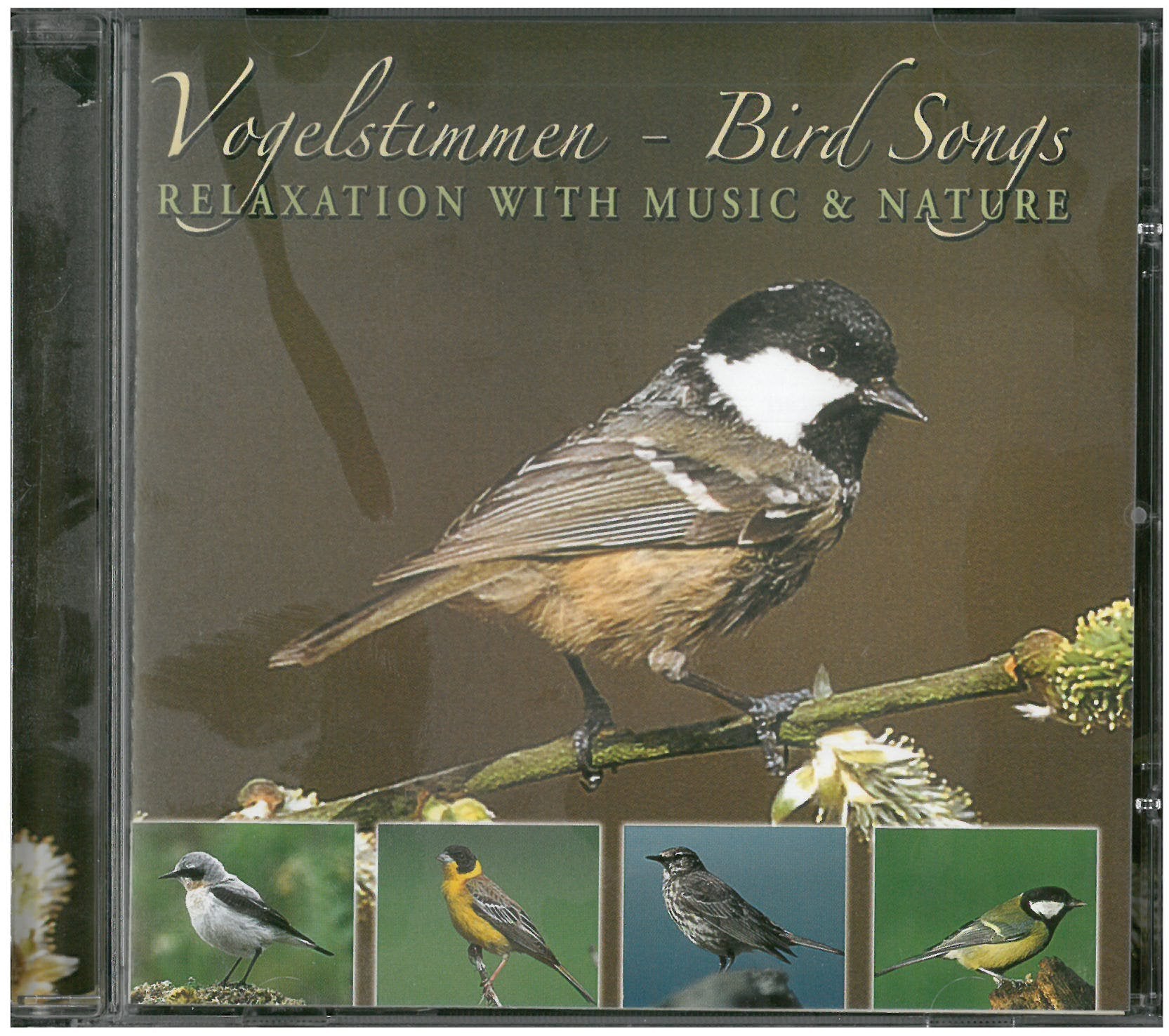 Vogelstimmen - Entspannen mit Musik und Natur Vol. 2
