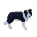 MOJO Animal Planet Perro Border Collie Marca