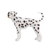 MOJO Dalmatiner Haushund Bauernhof-Tier-Modell-Spielfigur