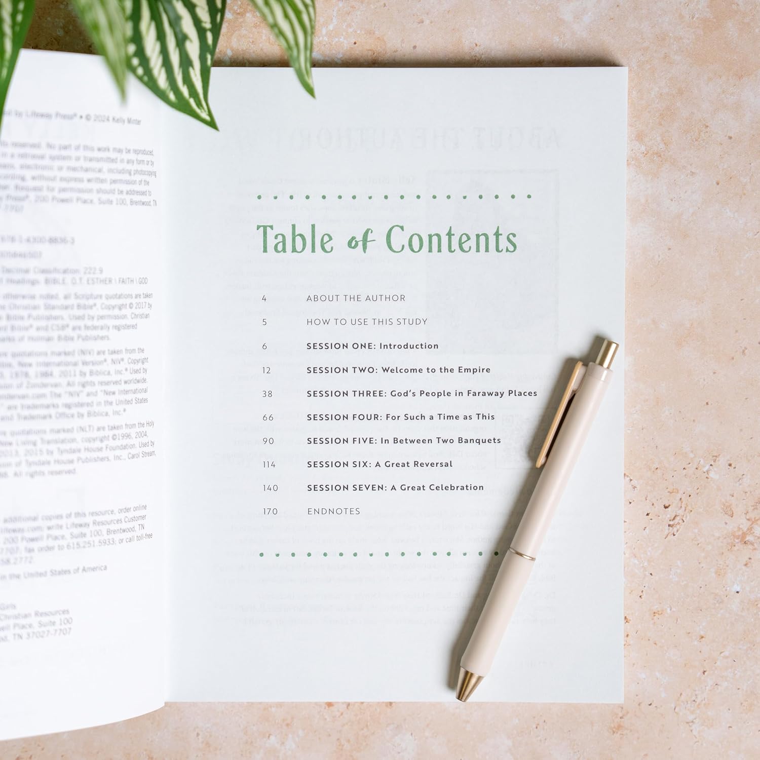 Esther - Teen Girls Bible Study Book