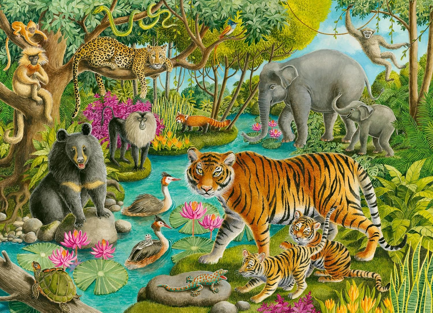 Animals Of India 60Pcs