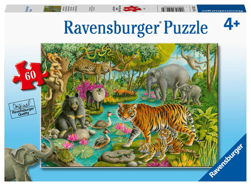Animals Of India 60Pcs
