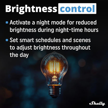 Shelly - Dimmer 0/1-10V Pm Gen3