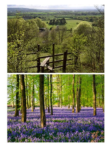 Walks for Each Season Second Edition