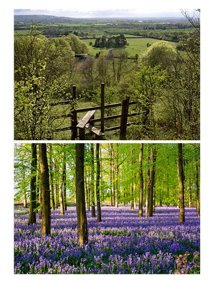 Walks for Each Season Second Edition