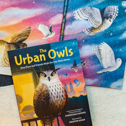 The Urban Owls