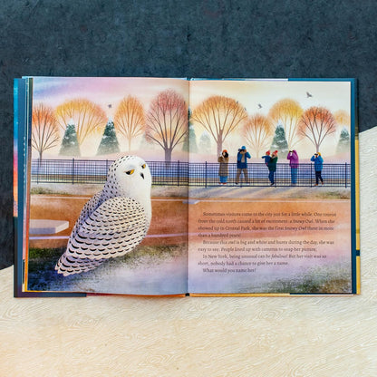 The Urban Owls