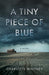 A Tiny Piece of Blue