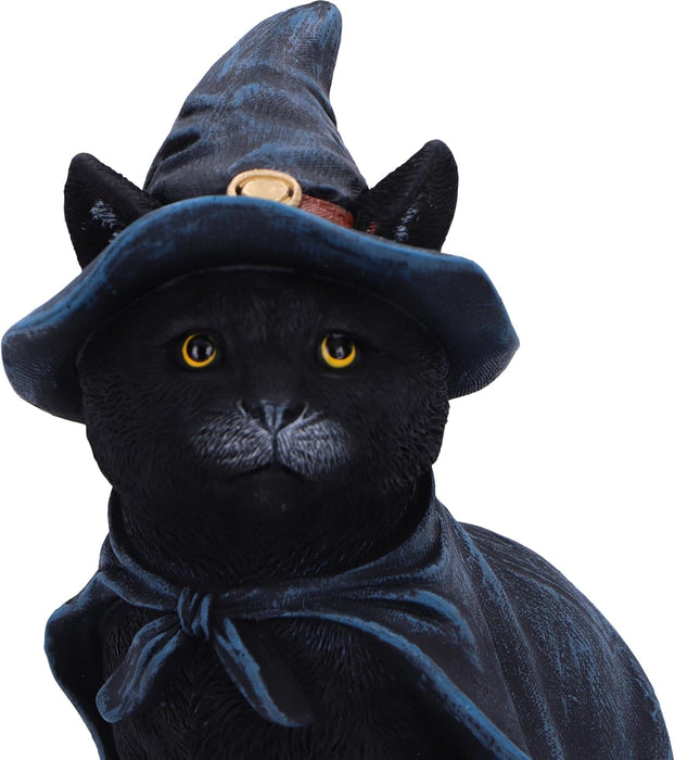 Nemesis Now Bewitching Figurine 18.5cm, Resin, Black, Witch Cat Figure, Black Cat in Witch Hat Ornament, Collectable Cat Giftware, Cast in the Finest Resin, Expertly Hand-Painted