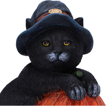 Nemesis Now Trick or Treat 13cm, Resin, Black, Cat Figure, Black Cat Ornament, Collectable Cat Giftware, Cast in the Finest Resin, Expertly Hand-Painted