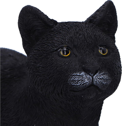 Nemesis Now Moonlight Watcher 15cm, Resin, Black, Cat Figure, Black Cat Ornament, Collectable Cat Giftware, Cast in the Finest Resin, Expertly Hand-Painted