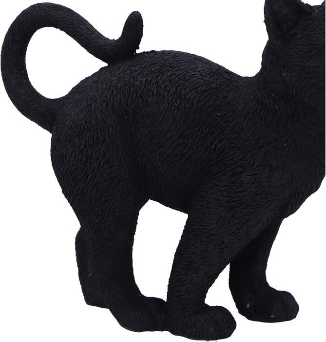 Nemesis Now Moonlight Watcher 15cm, Resin, Black, Cat Figure, Black Cat Ornament, Collectable Cat Giftware, Cast in the Finest Resin, Expertly Hand-Painted