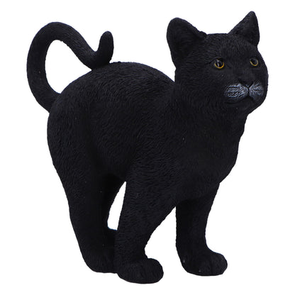 Nemesis Now Moonlight Watcher 15cm, Resin, Black, Cat Figure, Black Cat Ornament, Collectable Cat Giftware, Cast in the Finest Resin, Expertly Hand-Painted
