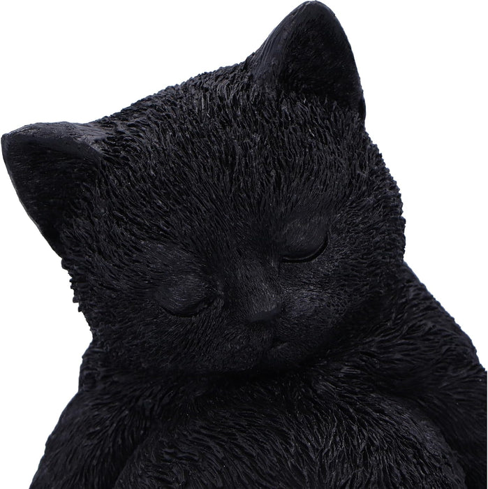 Nemesis Now Daydream 13cm, Resin, Black, Cat Figure, Black Cat Ornament, Collectable Cat Giftware, Cast in the Finest Resin, Expertly Hand-Painted